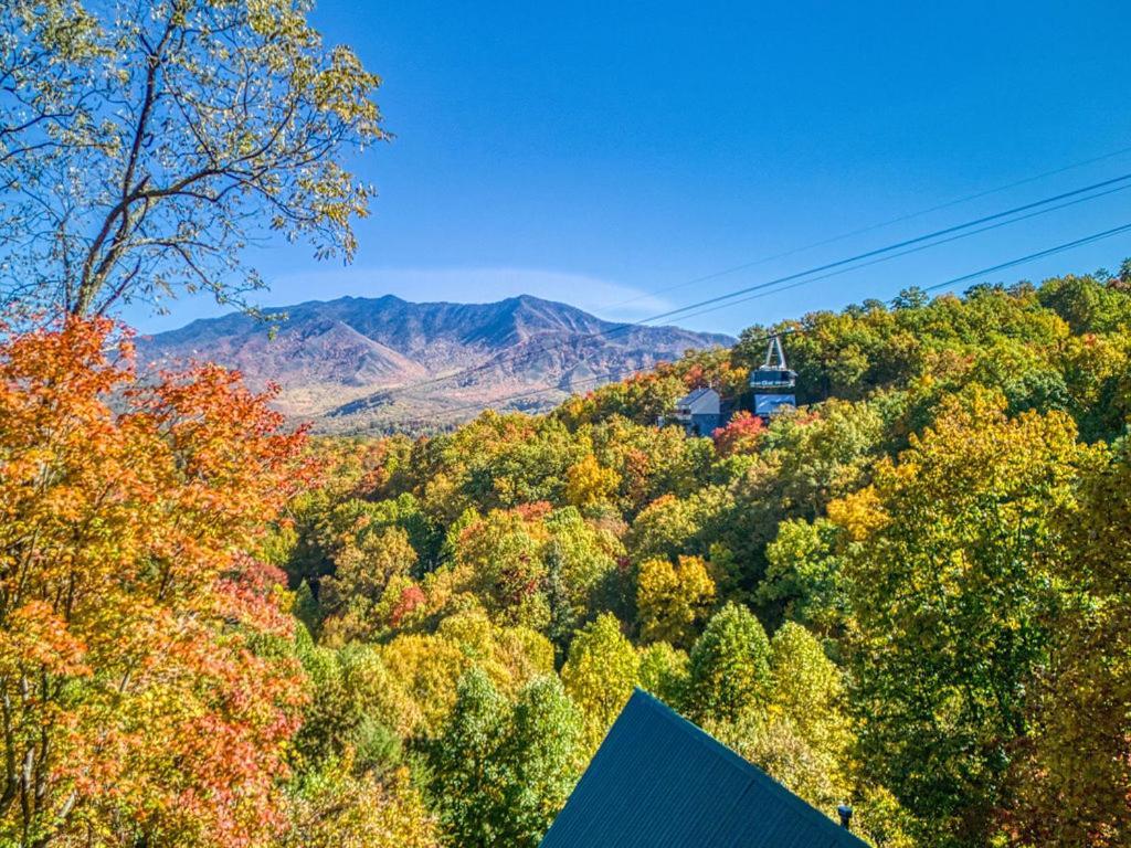 גטלינבורג Four Bears Den, Hot Tub, 1089 Of Free Attraction Tickets For Each Paid Day, Dollywood And More מראה חיצוני תמונה