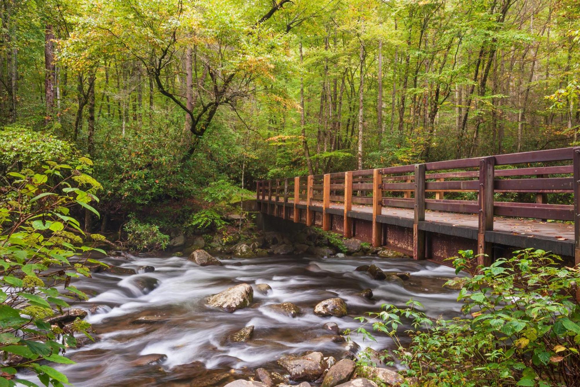 גטלינבורג Four Bears Den, Hot Tub, 1089 Of Free Attraction Tickets For Each Paid Day, Dollywood And More מראה חיצוני תמונה