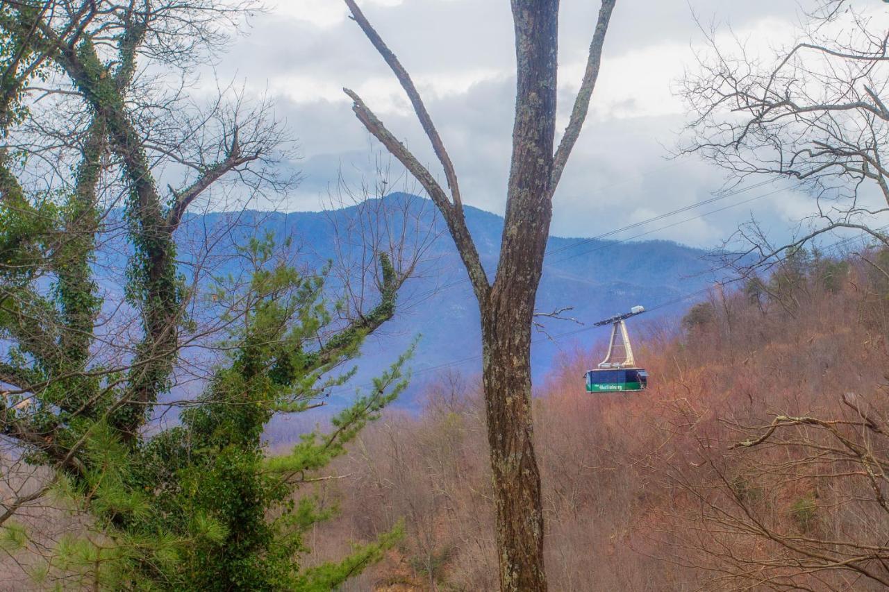 גטלינבורג Four Bears Den, Hot Tub, 1089 Of Free Attraction Tickets For Each Paid Day, Dollywood And More מראה חיצוני תמונה